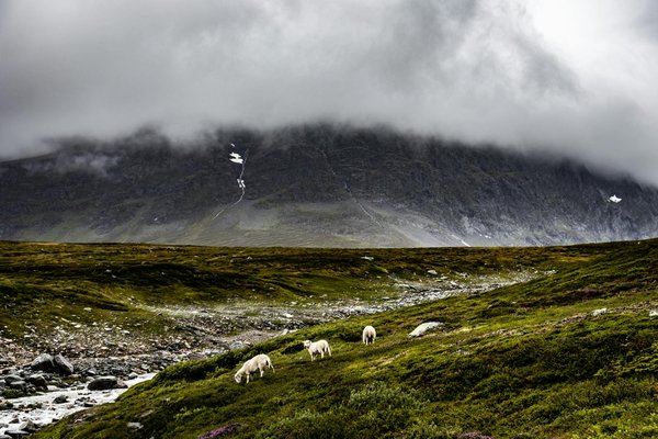 Où trouver les meilleures expériences de pêche à la mouche en Patagonie?