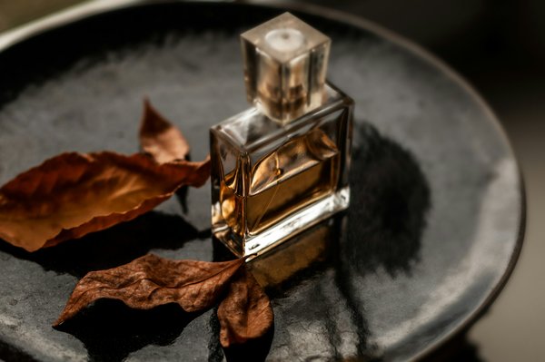 Quelles croisières proposent des ateliers de fabrication de parfums en France?